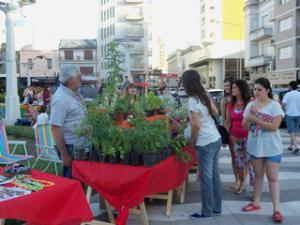 Emprendedores de la economa social y solidaria realizaron una feria navidea en la Plaza San Martn